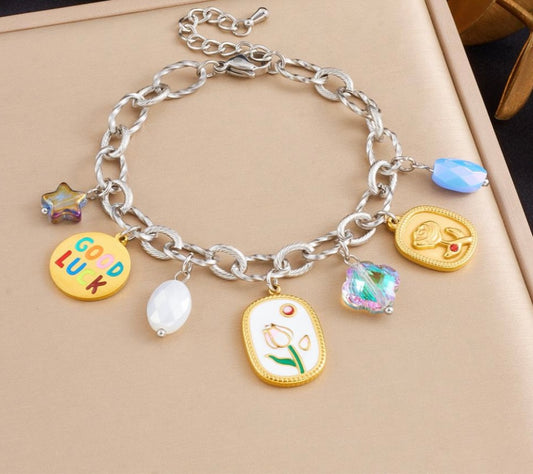 Stainless Steel Charm Bracelet for Women with Good Luck, Tulip, Moon, Star & Heart Charms